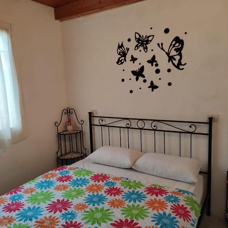 Stellina Villa Lido di Volano Eksteriør billede