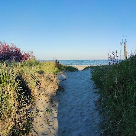 Stellina Villa Lido di Volano Eksteriør billede