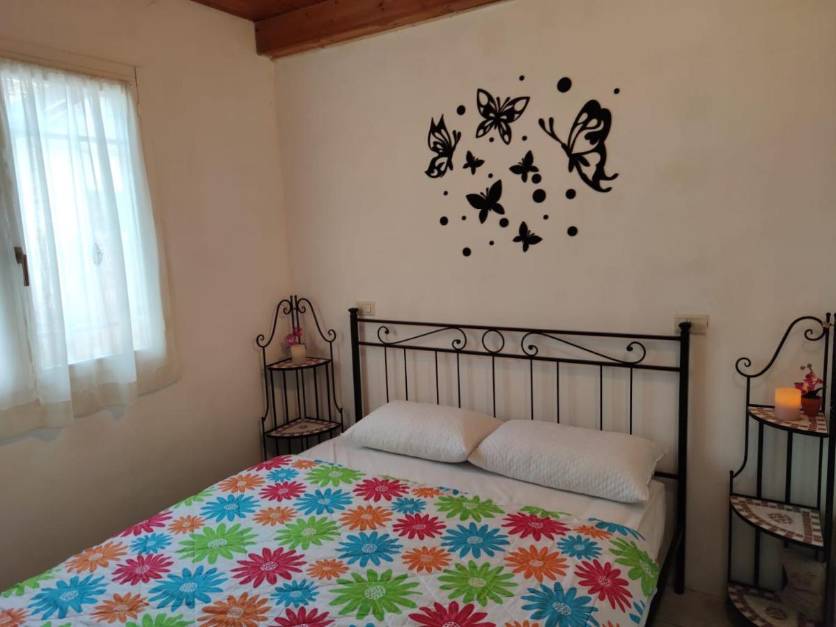 Stellina Villa Lido di Volano Eksteriør billede